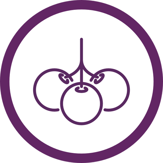 Ohh.. elderberry icon